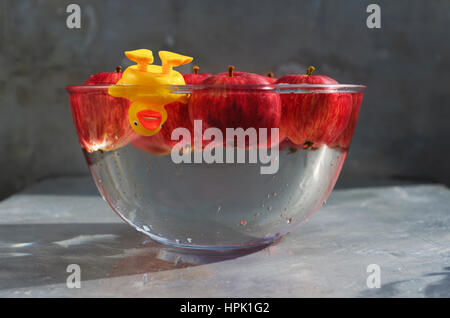 Ducking für Äpfel. Gelber Kunststoff Ente genießen einen guten Spritzer über in eine Schüssel mit Wasser und rote Äpfel. Stockfoto