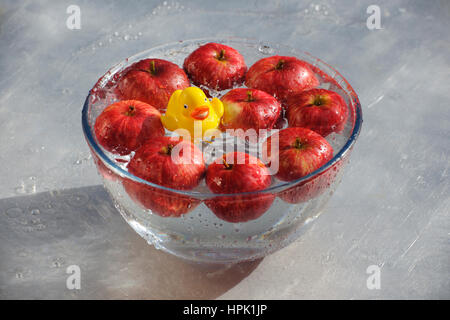 Ducking für Äpfel. Gelber Kunststoff Ente genießen einen guten Spritzer über in eine Schüssel mit Wasser und rote Äpfel. Stockfoto