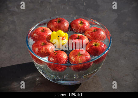 Ducking für Äpfel. Gelber Kunststoff Ente genießen einen guten Spritzer über in eine Schüssel mit Wasser und rote Äpfel. Stockfoto