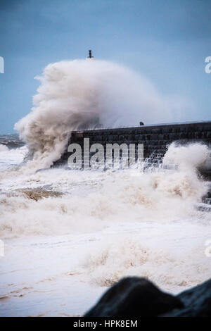 Aberystwyth, Wales, UK. 23. Februar 2017. UK-Wetter: In den frühen Morgenstunden des Donnerstag, Sturm Doris, die vierte benannt Sturm des Winters, trifft das Meer Aberystwyth, massive Wellen schlagen gegen die Promenade und Meer Abwehr zu bringen. Orkanartiger Sturm Kraft 11 Winde mit Böen von bis zu 90 km/h dürften für einen Teil von Nordwales und Nordwest-England, mit dem Risiko von Schäden an Eigentum und schwerwiegende Störung zu reisen. Der Sturm hat als ein "Wetter-Bombe" kategorisiert (Explosive Cyclogenisis) durch das Met Office. Bildnachweis: Keith Morris/Alamy Live-Nachrichten Stockfoto