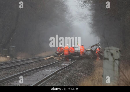 Sudbury, Derbyshire, UK. 23. Februar 2017. Großbritannien Wetter. Ein großer Baum verursacht eine Blockade auf der Bahn in Sudbury, Derbyshire, in der Nähe von Uttoxeter, wegen Sturm Doris und starkem Wind. Network Rail Personal versucht, den Baum zu entfernen und reparieren die beschädigte Spur. Störungen zwischen Crewe, Stoke-on-Trent und Derby. 23. Februar 2017. Bildnachweis: Richard Holmes/Alamy Live-Nachrichten Stockfoto