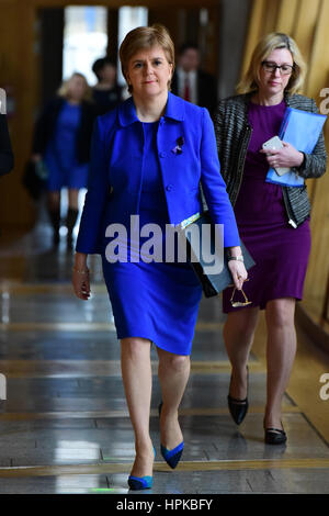 Edinburgh, Schottland. 23. Februar 2017. Beschriftung Beschriftung Credit: Ken Jack/Alamy Live-Nachrichten Stockfoto