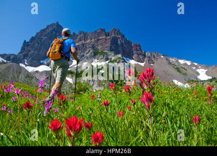 Wanderer auf einer blühenden Wiese an der Basis der drei Finger Jack Berg außerhalb von Bend, Oregon Stockfoto