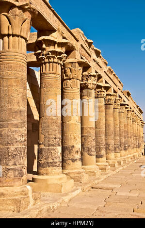 Äußere Zeile der Spalten mit Lotusblumen an Spitze und keine Touristen auf Philae Tempel oder Tempel der Isis in Philae Island Stockfoto