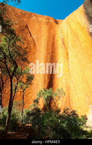 Mutitjulu Wasserloch, Uluru oder Ayers Rock, Australien Stockfoto