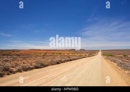 Ein gerader Feldweg durch die trockene Halbwüste der Karoo in Südafrika. Stockfoto