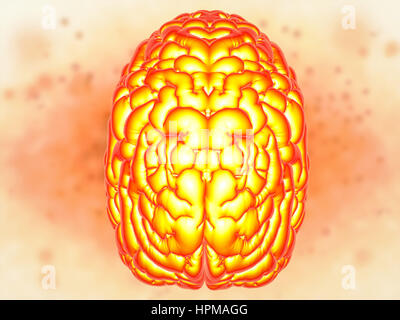 Brain Power-Konzept mit 3d Rendering glänzenden menschlichen Gehirn Stockfoto