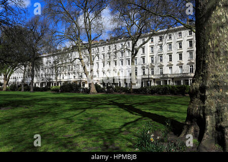 Frühling, St Georges Square Gardens, Pimlico, London City, Großbritannien Stockfoto