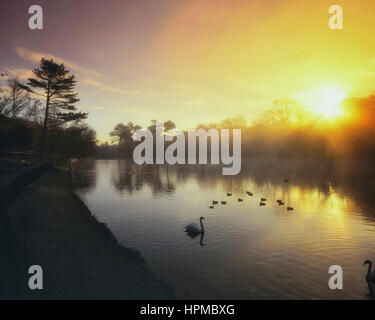 Shornden Reservoir. Alexandra Park. Hastings. East Sussex. UK Stockfoto