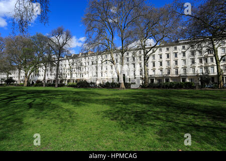 Frühling, St Georges Square Gardens, Pimlico, London City, Großbritannien Stockfoto