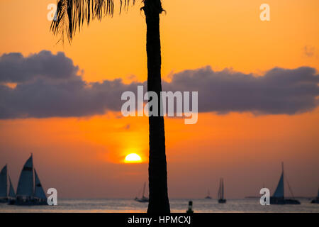 Key West, USA - 10. Mai 2015: Sonnenuntergang über der Bucht von Key West auf einem leuchtenden orange Himmel mit Wolken und mehrere Segelschiffe auf dem Meer. Die Sonne ich Stockfoto