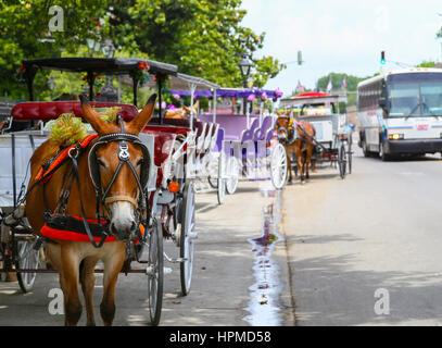 New Orleans, USA - 14. Mai 2015: Wagen wartet auf Fluggäste im French Quarter, in der Rückseite ein Bus nähert sich. Stockfoto