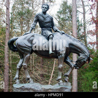 Präsident Andrew Jackson Statue als ein Junge auf einem Pferd in Lancaster South Carolina Stockfoto