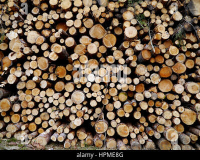 Holzstoß gesägt in Inshriach Wald auf dem Ost-Highland-Way in der Nähe von Kincraig Speyside in den schottischen Highlands, Schottland, Großbritannien. Stockfoto