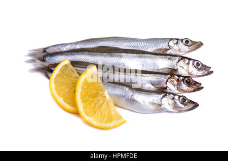 Roher Fisch Lodde mit Zitronenscheiben isoliert auf weißem Hintergrund. Stockfoto