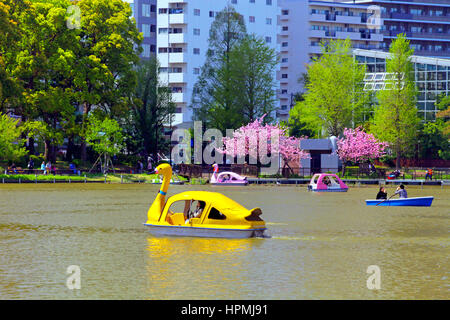 Shinobazu-Teich in Ueno Park Tokio Japan Stockfoto