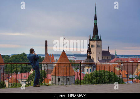 Altstadt von Aussichtsplattform im Stadtteil Toompea, Tallinn, Estland Stockfoto