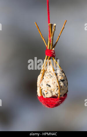 Selbstgemachtes Vogelfutter in Einem Körbchen aus Weidenzweigen, Weidenkörbchen, Vogelfütterung, Fütterung, Fettfuttermischung, Fettfutter, Meisenknöd Stockfoto