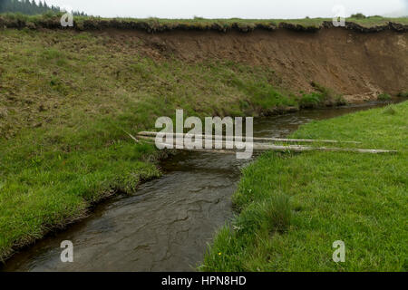 Gefällte Bäume als provisorische Brücke über einen kleinen Fluss Stockfoto