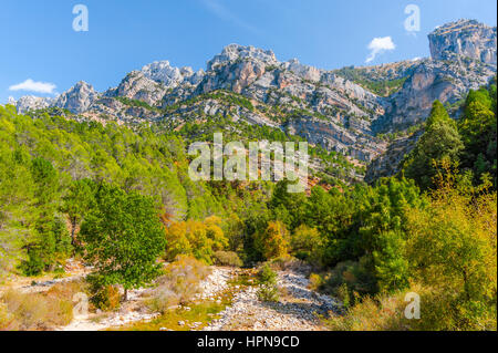 Fluss Borosa und die Berglandschaft in der Natur Park Sierra de Cazorla, Andalusien, Spanien Stockfoto