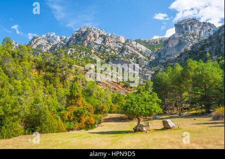 Berge und den Fluss Borosa in der Natur Park Sierra de Cazorla, Andalusien, Spanien Stockfoto