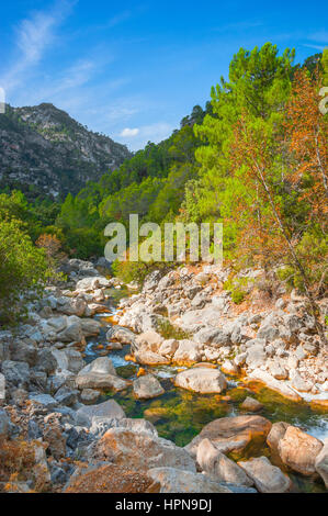 Wanderweg entlang Borosa in der Natur Park Sierra de Cazorla, Andalusien, Spanien Stockfoto