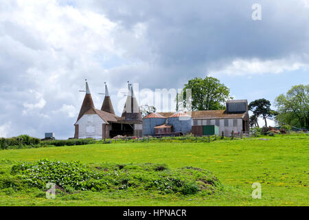 Traditionelle, alte Oast Houses, Landwirtschaft Gebäude und Anlagen auf einem Bauernhof, Kent, Süd-Ost-England Stockfoto