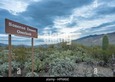 Sonoran Wüste übersehen Zeichen im Saguaro National Park East in der Nähe von Tucson Arizona Stockfoto