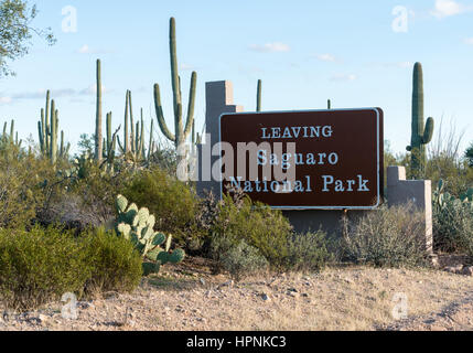 Tausende von Saguaro Kakteen um Ausgangsschild in National Park West in der Nähe von Tucson Arizona Stockfoto