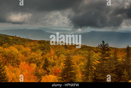 Rote Blätter im Herbst über Dolly Grassoden Wildnisgebiet in West Virginia mit Panorama zu fernen Bergen Stockfoto