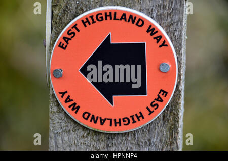 Holzpfosten mit Wegpunkt für die Ost-Highland-Way in der Nähe von Laggan in den schottischen Highlands, Schottland, Großbritannien. Stockfoto