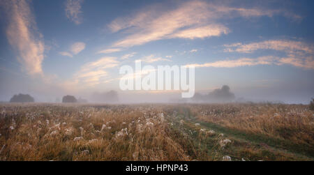 Blauer Himmel mit Wolken Farbe über Wiese nebligen Morgen Stockfoto