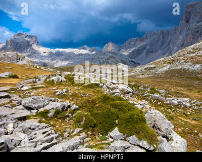 Berglandschaft in Fuente De in den Nationalpark Picos de Europa Kantabrien Nordspanien Stockfoto