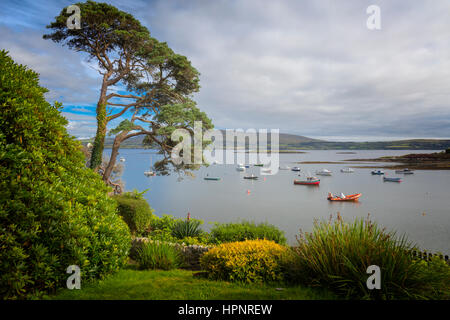 in der Nähe von Ahakista die Schafe den Kopf auf Halbinsel, County Cork, Irland.  Eire.  Blick von den Gärten von The Tin Pub. Stockfoto