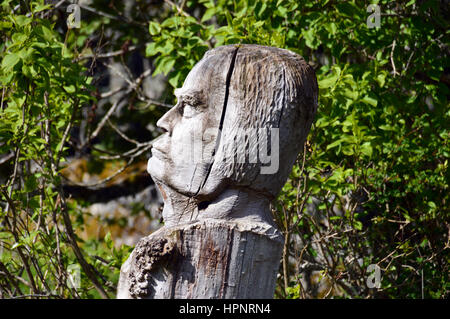 Holzskulptur Baum genannt Dritten Welt von Frank Bruce Skulpturenweg, Inshriach Wald, Feshiebridge, Cairngorms National Park, Schottland. Stockfoto