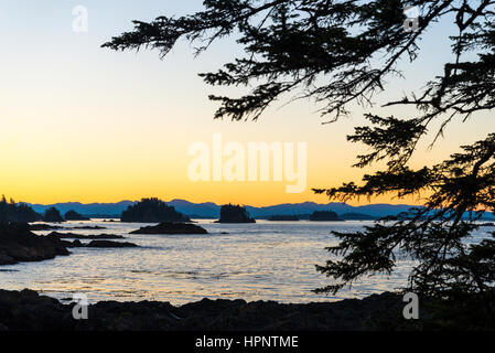 Inseln vor der Küste von "The Wild Pacific Trail", Ucluelet, Britisch-Kolumbien, Kanada Stockfoto