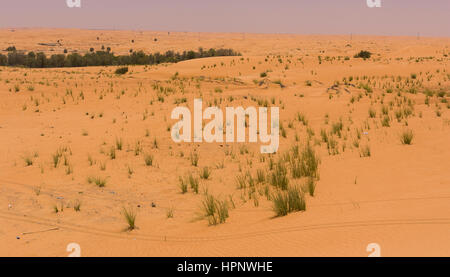AL AIN, Vereinigte Arabische Emirate - Wüstenlandschaft und Sanddünen. Stockfoto