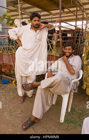AL AYN, UNITED ARAB EMIRATES - Männer am Viehmarkt. Stockfoto