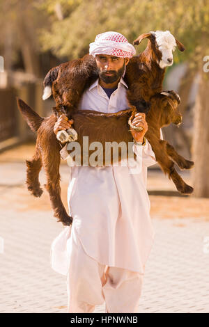 AL AIN, Vereinigte Arabische Emirate - trägt der Mensch Ziegen zum Schlachthof, am Viehmarkt. Stockfoto