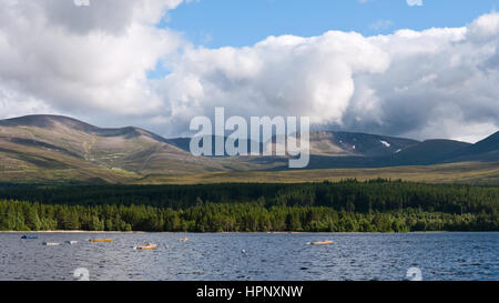 Blick über Loch Morlich Cairn Gorm und die nördlichen Hochgebirgsflora, nördlichen Teil der Cairngorms Hochebene, in der Nähe von Aviemore Stockfoto