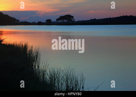 Sonnenaufgang in den Dünen des Strandes in Kiawah Island, South Carolina. Stockfoto