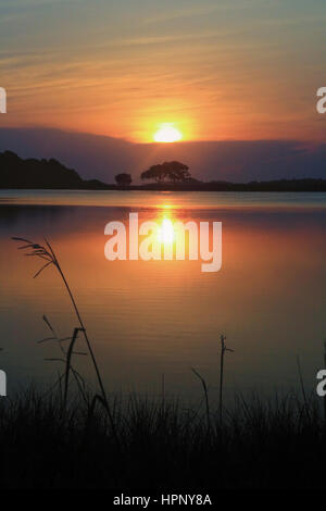 Sonnenaufgang über dem Bass Teich auf schöne Kiawah Island, South Carolina. Bass-Teich ist von Marsh und Live Eichen umgeben. Stockfoto