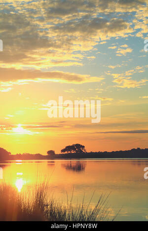 Sonnenaufgang über dem Bass Teich auf schöne Kiawah Island, South Carolina. Bass-Teich ist von Marsh und Live Eichen umgeben. Stockfoto