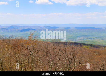 Noch blattlosen Bäume in den Vordergrund und bereits grün der Wälder in den Blue Ridge Mountains gesehen von der Skyline Drive in Virginia. Stockfoto