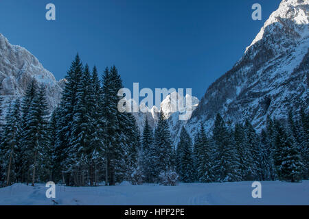 Kalten Wintermorgen in den Bergen Stockfoto