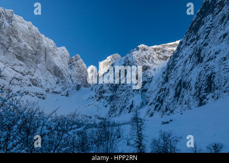 Kalten Wintermorgen in den Bergen Stockfoto
