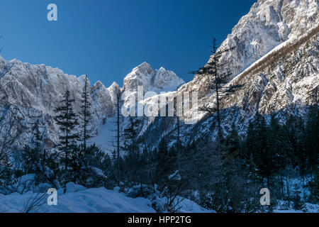 Kalten Wintermorgen in den Bergen Stockfoto