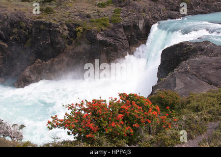 Wasserfall Salto Grande im Nationalpark Torres del Paine, Chile Stockfoto