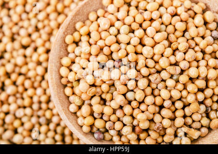 Senfkörner in Holzlöffel auf Heap Senf Hintergrund. Stockfoto