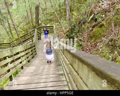 Mädchen Rückblick auf Schwester wie sie die Schritte in des Teufels MIllhopper hinabsteigen. Geologische Staatspark, Gainesville, Florida, USA Stockfoto